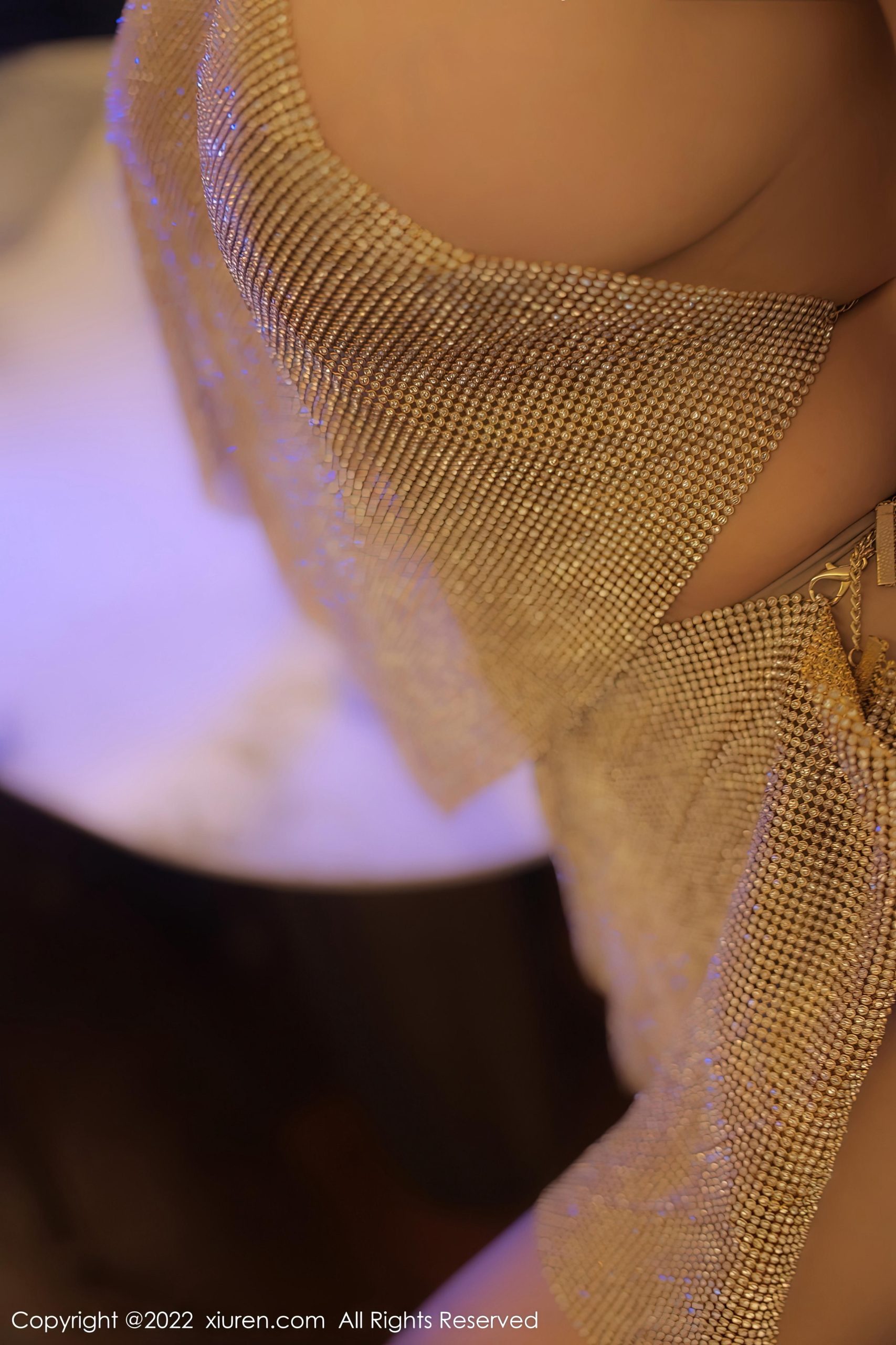 [XiuRen秀人网]2022.12.26 VOL.6044 朱可儿Flora 金色情趣小礼裙加肉丝美腿性感私房写真集