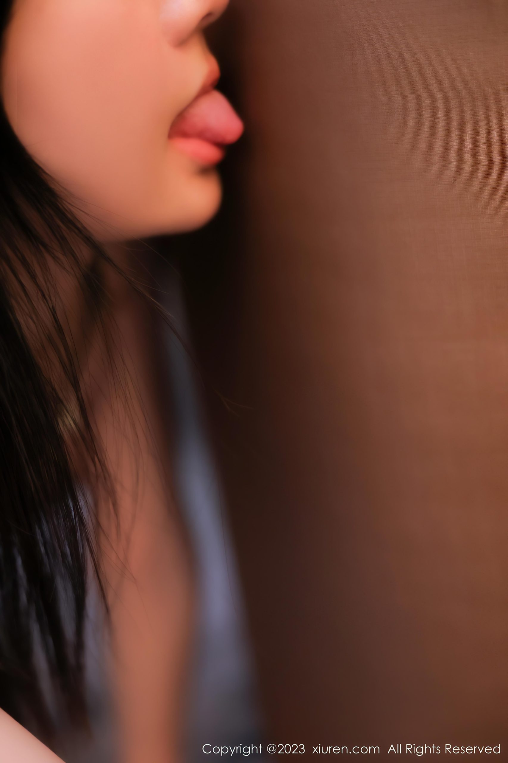 [XiuRen秀人网]2023.02.10 VOL.6246 谢小蒽 黑色短裙与蕾丝塑身内衣加黑丝美腿性感私房写真集