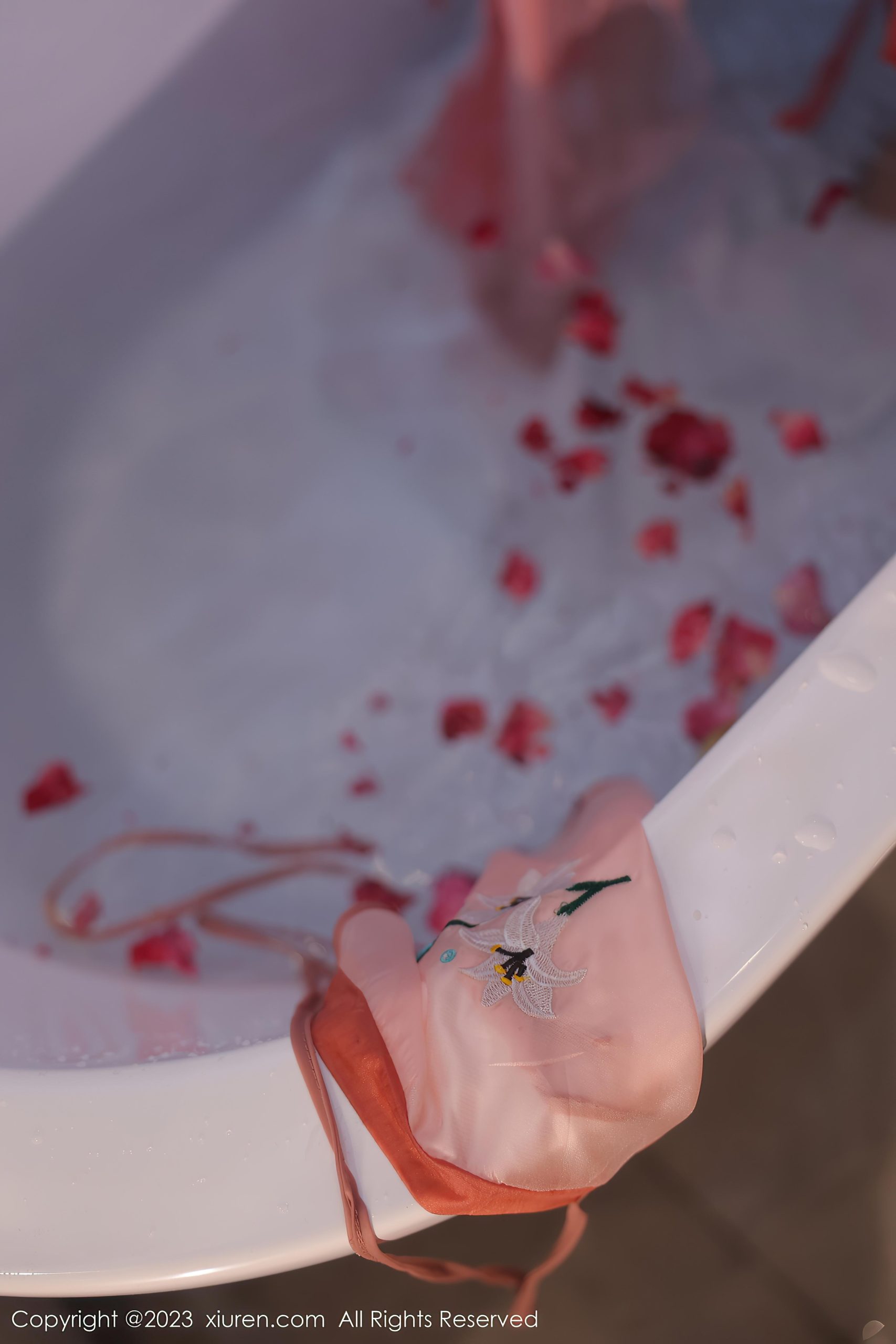 [XiuRen秀人网]2023.02.14 VOL.6262 古装美女 江真真 粉色透视汉服裙加情趣肚兜性感私房写真集